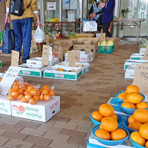 大野青果｜徳島県阿南市アピカの、野菜・果物小売り店なら (46)