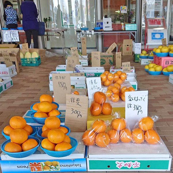 大野青果｜徳島県阿南市アピカの、野菜・果物小売り店なら (38)