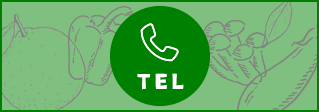 TEL